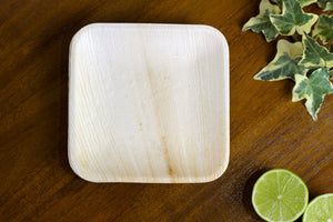 6" Square Plate